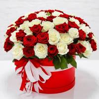 51 роза микс (красные и белые) с оформлением в коробке R2246